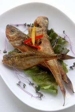 ¥Ï¥¿¥Ï¥¿¤Î¥Õ¥é¥¤¥Ñ¥ó¾Æ¤