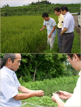 地産地消支援サービス